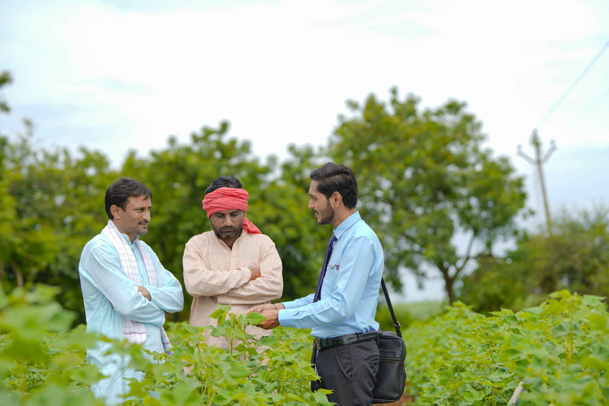 The Journey of Freshness: How Exportaholic Ensures Premium Quality Vegetables for Global Markets
