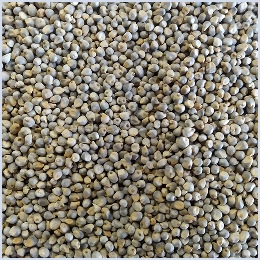 Green-Millets