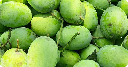 Rajapuri-Mango